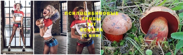 каннабис Надым