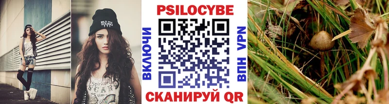 Галлюциногенные грибы мицелий  Остров 